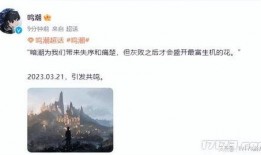 鸣潮爆料最新消息,揭秘游戏内神秘新内容与重大更新