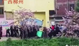 五华最新 爆料事件始末,真相与争议的交织历程