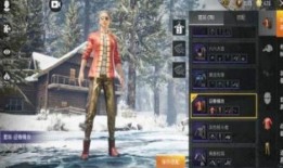 和平精英最新爆料套装,神秘套装惊艳登场，战力飙升！