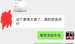 最新爆料电话大全,电话大全全新升级，一网打尽热门号码信息