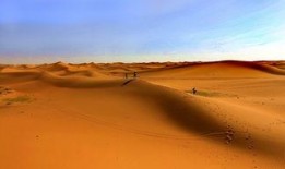 激情沙漠最新爆料视频下载,揭秘神秘探险背后的惊心动魄