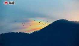 七彩祥云最新爆料消息,揭秘神秘事件背后的惊人真相