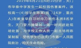 最新哈尔滨爆料案件新闻,真相大白，疑云散去