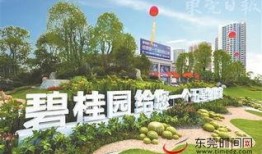 沧州碧桂园最新爆料新闻,揭秘项目最新进展与亮点