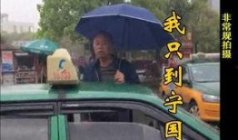 纳雍出租车爆料事件最新,真相与反思