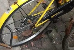 达州大竹出租车最新爆料,行业乱象频发，乘客权益亟待保障