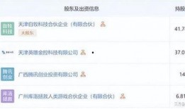 鸣潮爆料最新消息,揭秘游戏内神秘新内容与重大更新