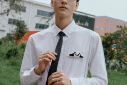 龚俊最新爆料新闻视频,揭秘演艺圈幕后真相，独家视频大公开！