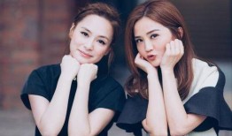 twins最新爆料,姐妹情深背后的故事与挑战