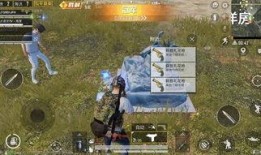 和平精英ss2最新爆料,神秘英雄登场，战场格局再起风云