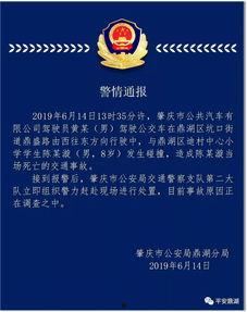 肇庆公安局爆料信息最新,揭秘系列盗窃案背后黑幕