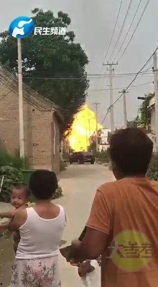 焦作武陟爆料事件最新情况